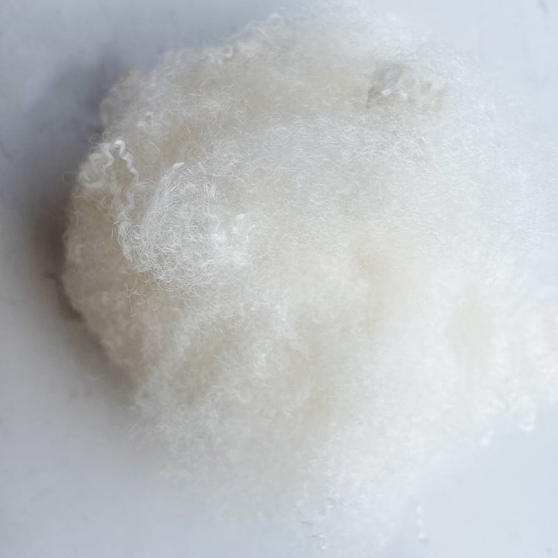 Sợi thảm 13DX120mm Sợi đặc biệt màu trắng ngà